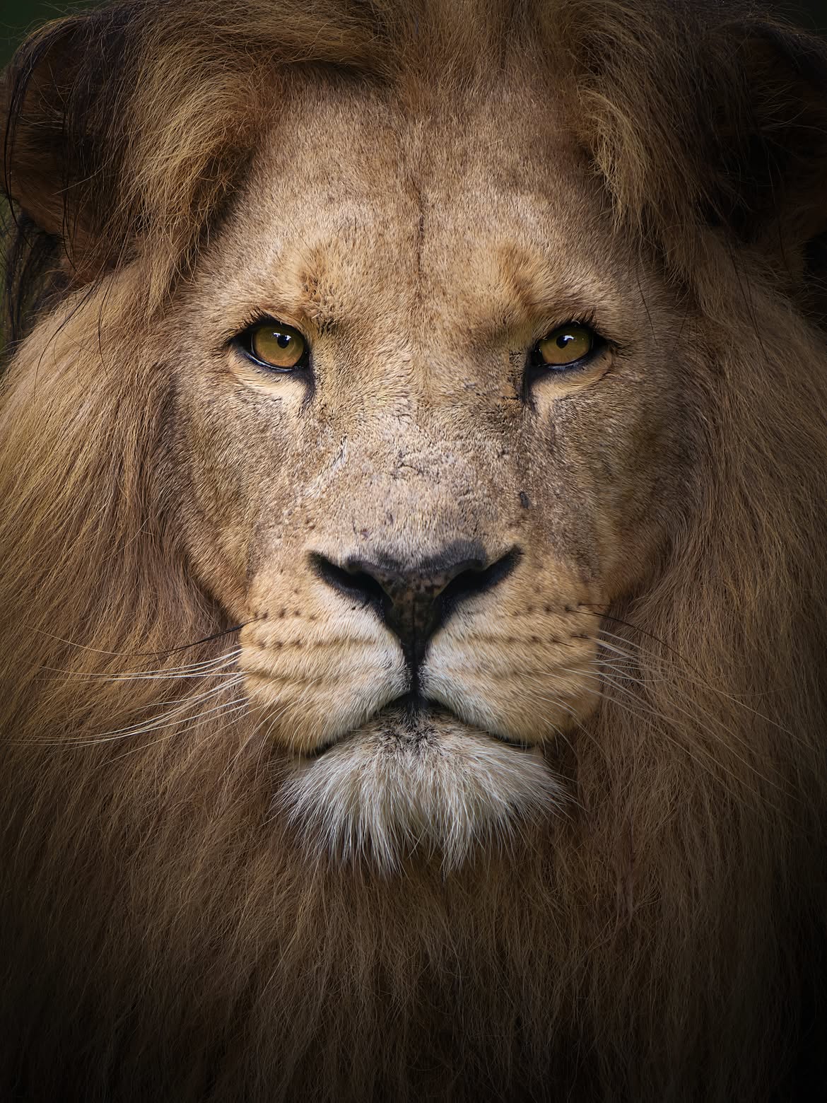 11-Day Uganda Explorer – Culture, Primates & Safari