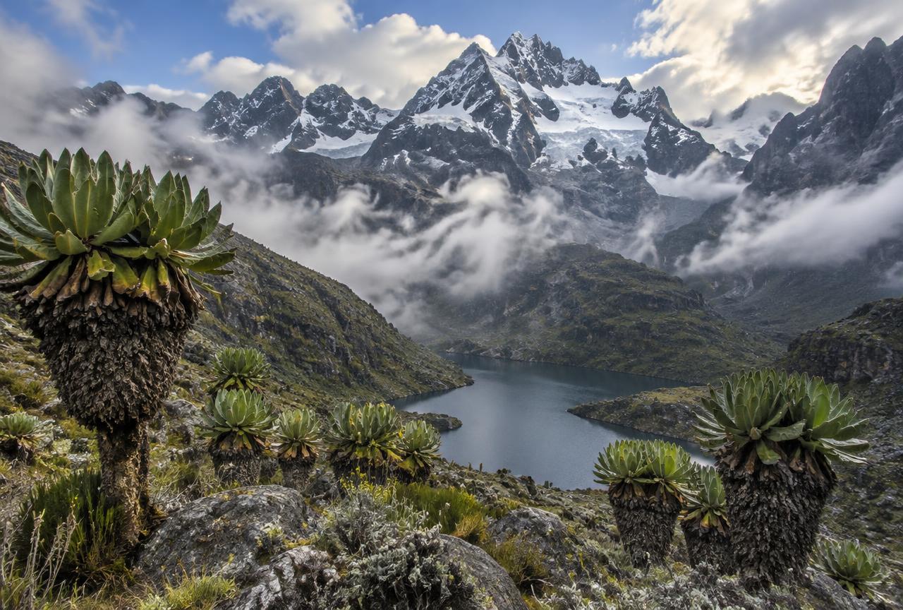 10-Day Rwenzori Mountains Hiking Expedition